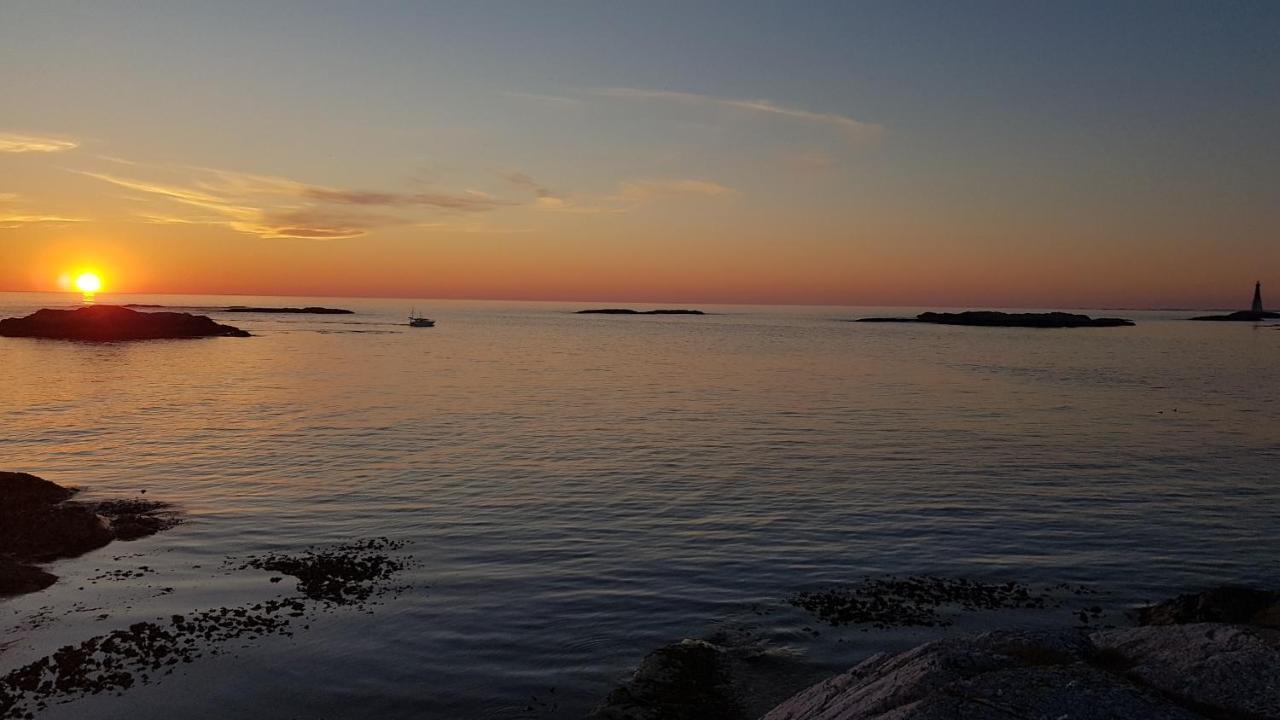Sveggvika Guesthouse Sveggen Buitenkant foto